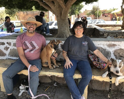 75 animales esterilizados en San José de Cervera el 11 de junio