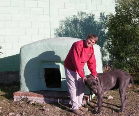 De nuestros archivosCómo ayudar a los perros que viven al aire libre en clima severo