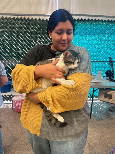 Another successful sterilization campaign