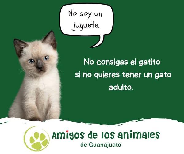 Our educational messages are short and sweet