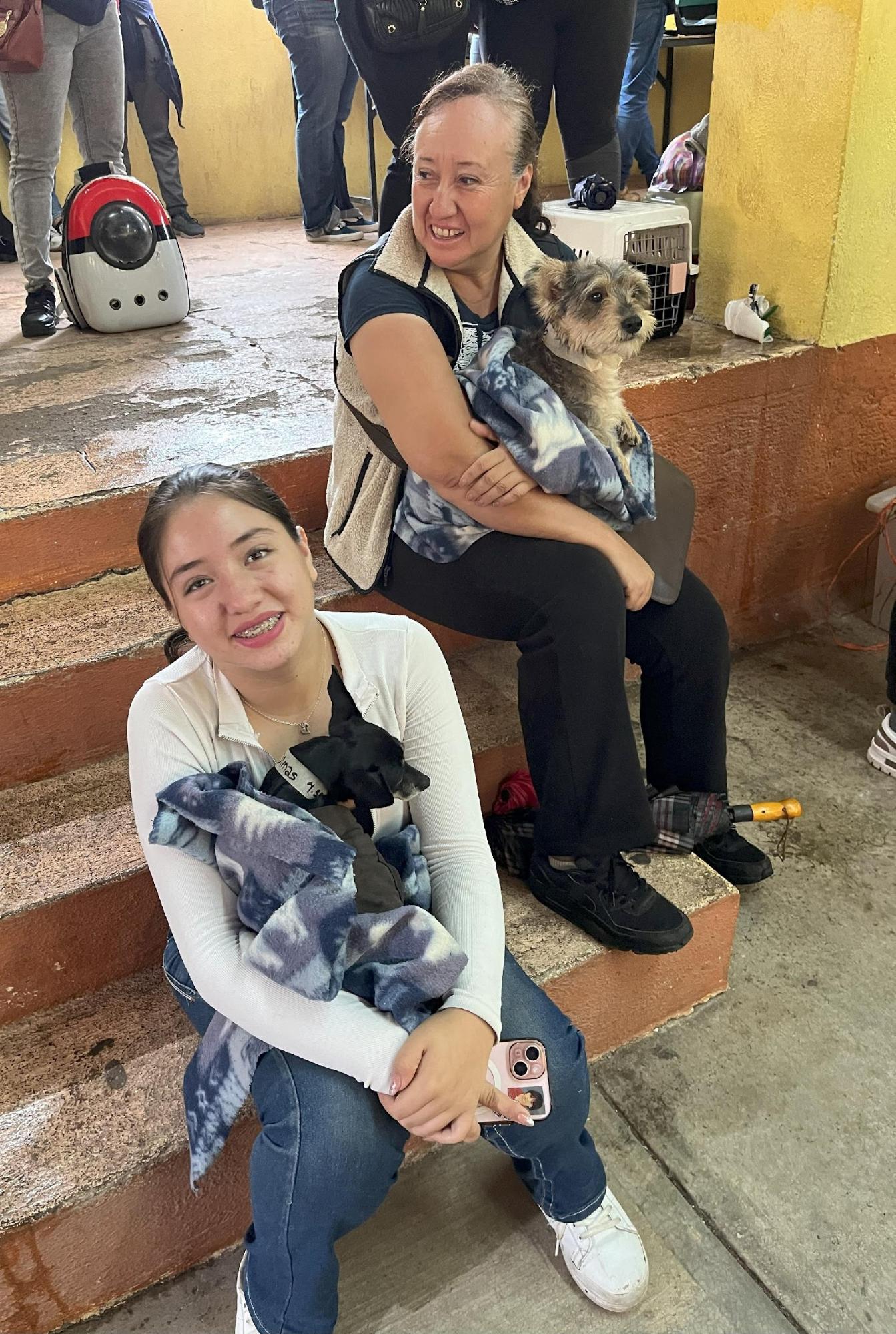 Raining cats and dogs? No problem!