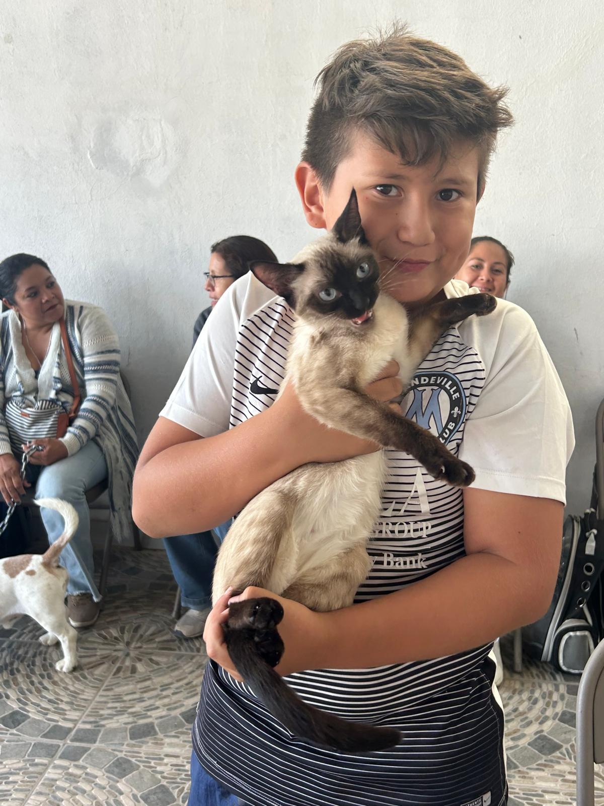 Actividades recientes de esterilización y educación