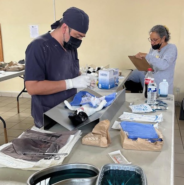 This month we sterilized case no. 27,000