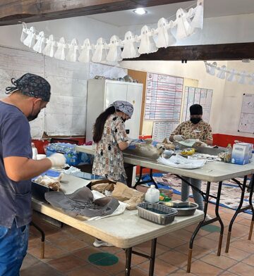 In October we sterilized a total of 127 animals