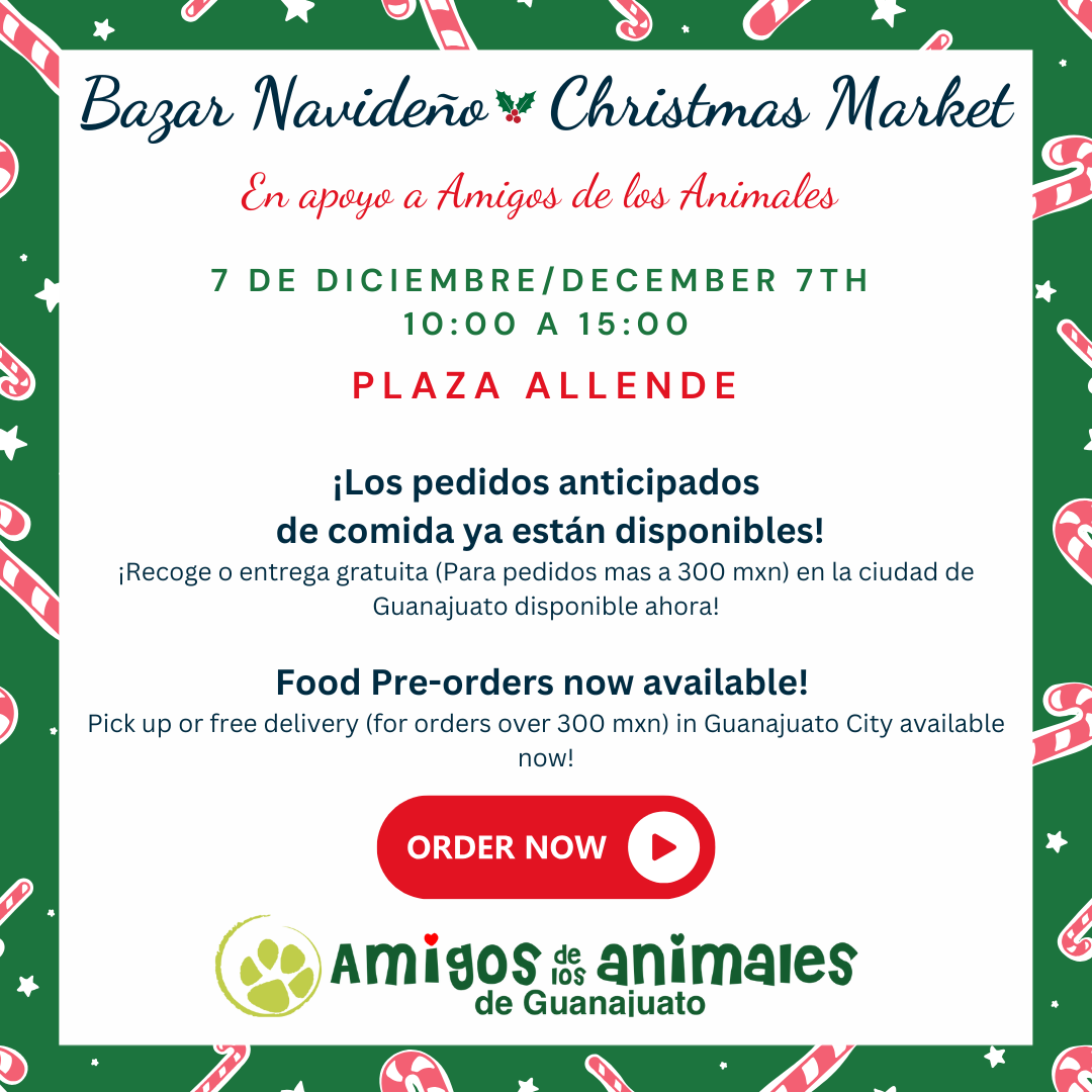 Our Christmas Market is coming on December 7