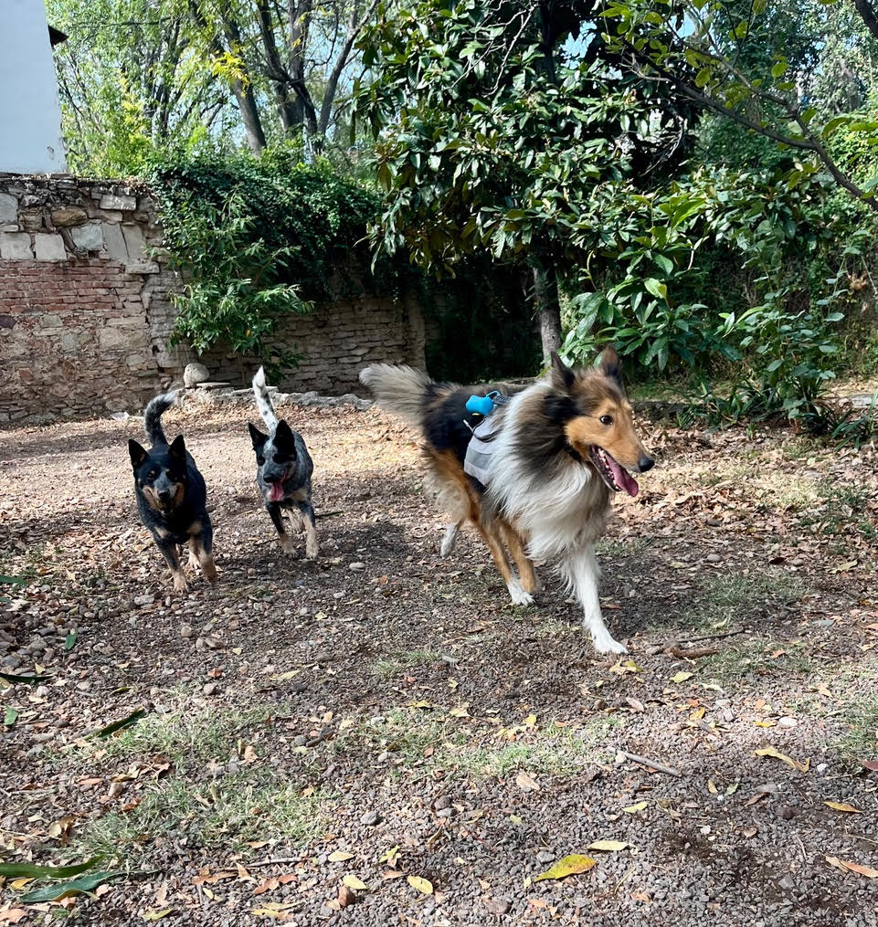 A new experience: notes from the field