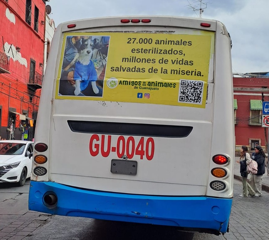 Keep an eye out for two new bus messages