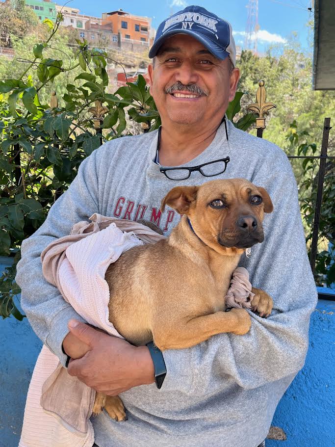 An unusual sterilization campaign day