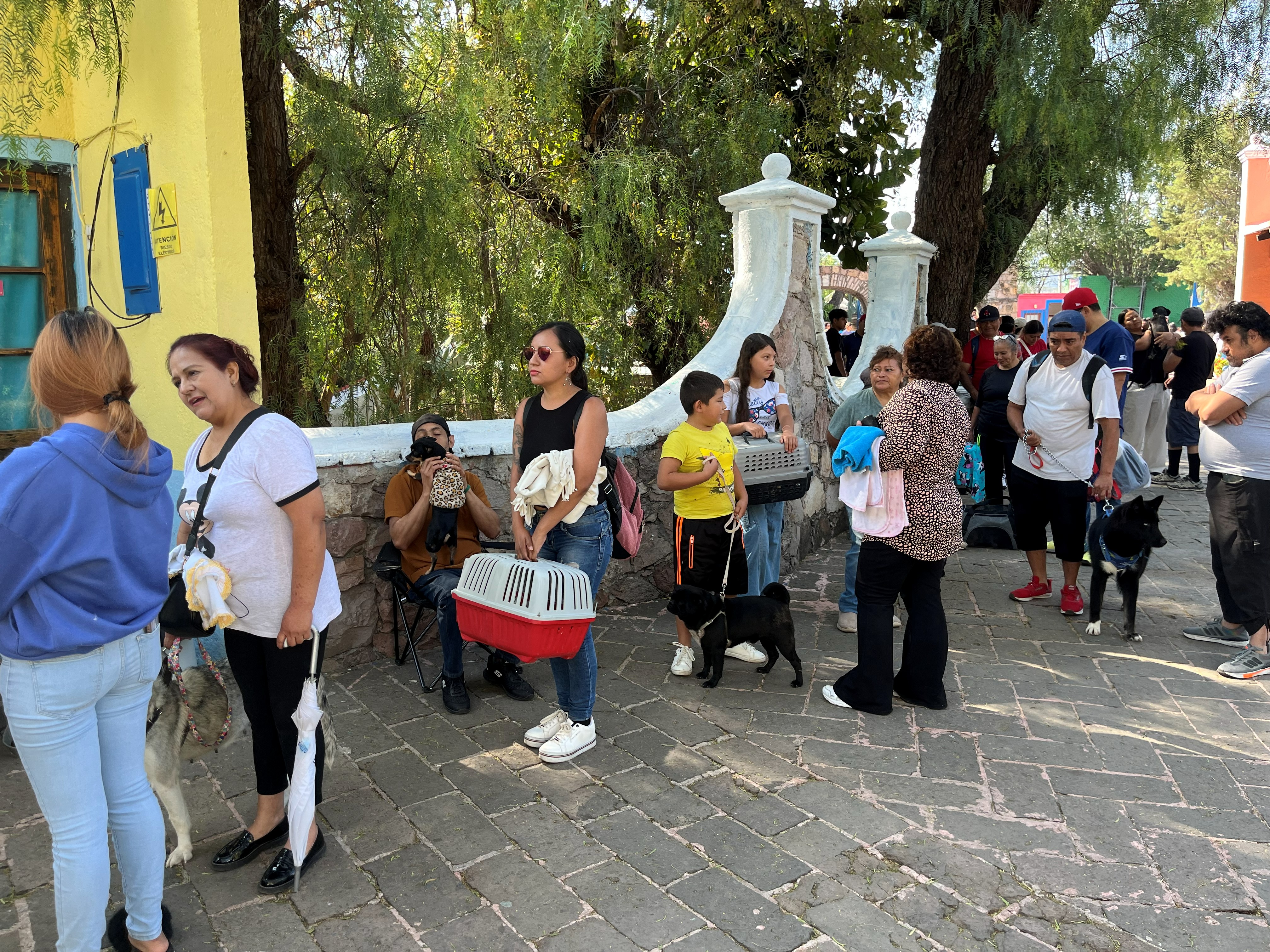 Our first sterilization campaign of May was a big one