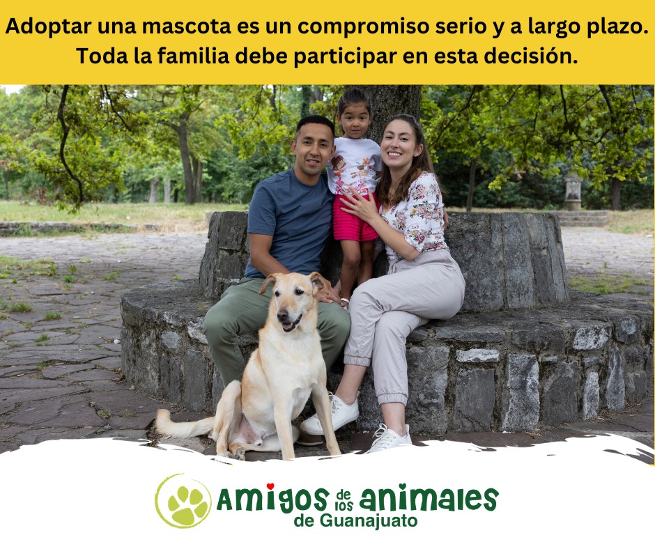 Our social media focuses on pets’ welfare